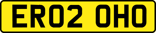 ER02OHO