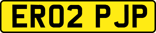 ER02PJP
