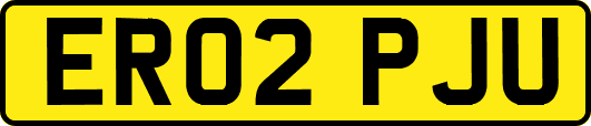 ER02PJU