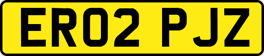 ER02PJZ