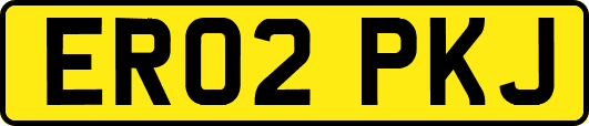 ER02PKJ