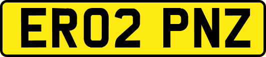 ER02PNZ