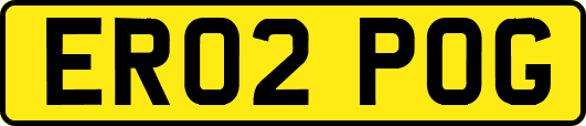 ER02POG