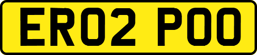 ER02POO
