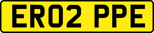 ER02PPE