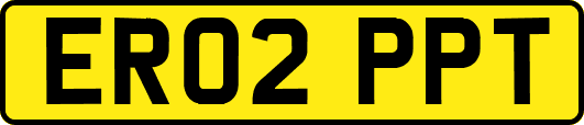 ER02PPT