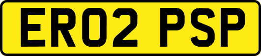 ER02PSP