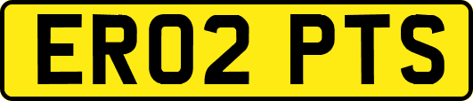 ER02PTS