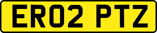 ER02PTZ