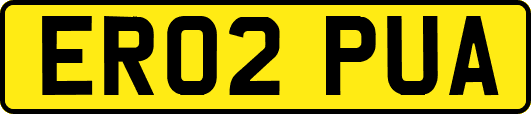 ER02PUA