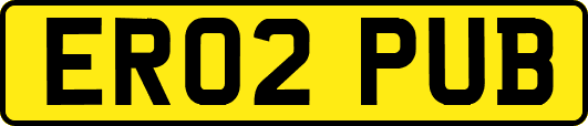 ER02PUB