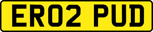 ER02PUD