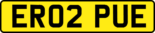 ER02PUE