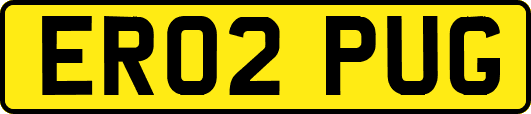 ER02PUG