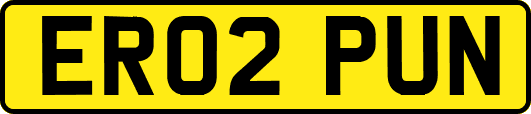 ER02PUN