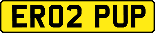 ER02PUP