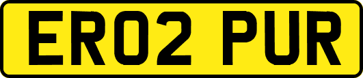 ER02PUR