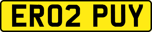 ER02PUY