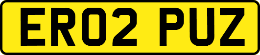 ER02PUZ