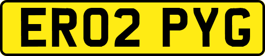 ER02PYG