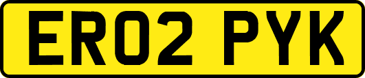 ER02PYK