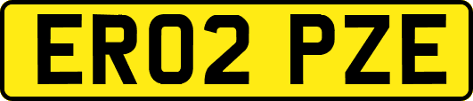 ER02PZE