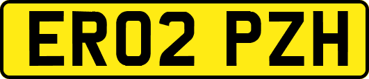 ER02PZH