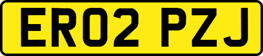 ER02PZJ