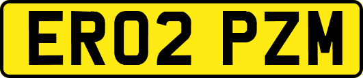 ER02PZM
