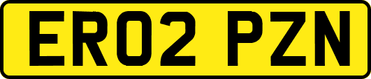 ER02PZN