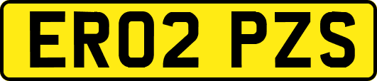 ER02PZS