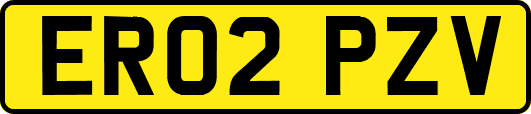 ER02PZV