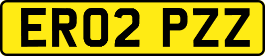 ER02PZZ