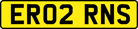 ER02RNS
