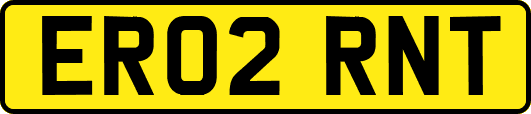 ER02RNT