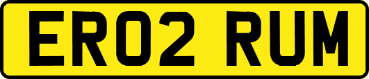 ER02RUM
