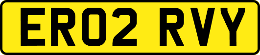 ER02RVY