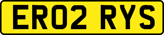 ER02RYS