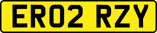 ER02RZY