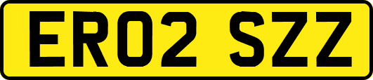 ER02SZZ