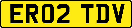 ER02TDV