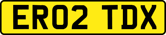 ER02TDX