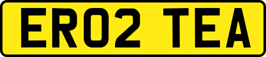 ER02TEA