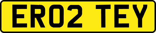 ER02TEY