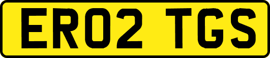ER02TGS