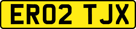 ER02TJX
