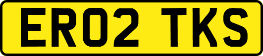 ER02TKS