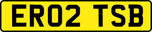 ER02TSB