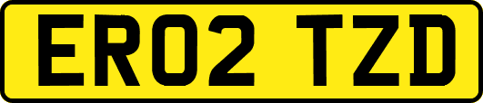 ER02TZD