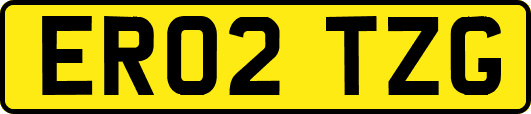 ER02TZG
